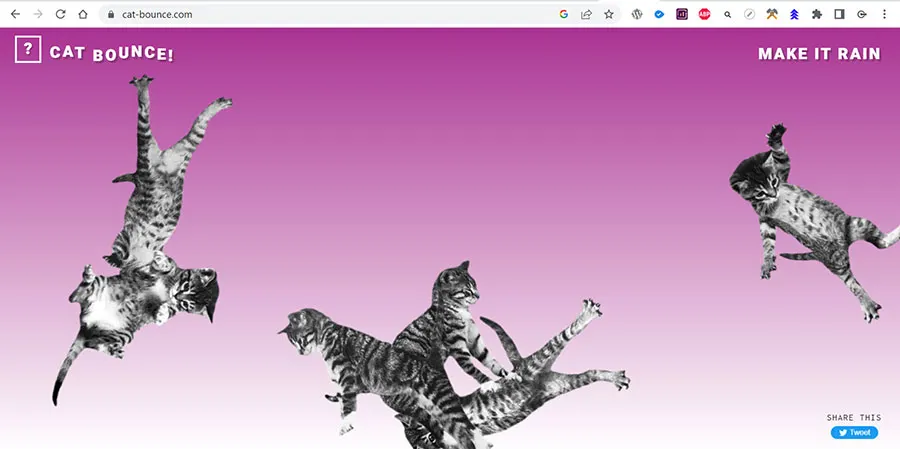 Cat Bounce Useless Website Screenshot