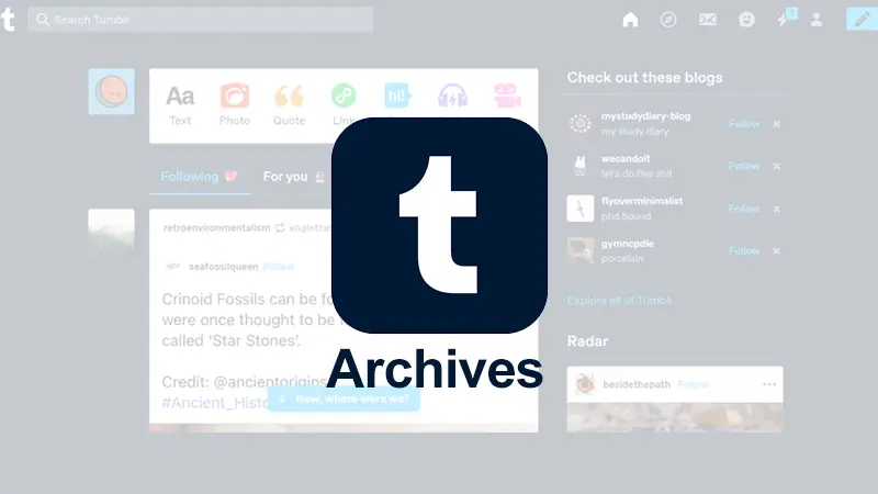 how to view tumblr archives website screenshot