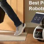 best personal robots